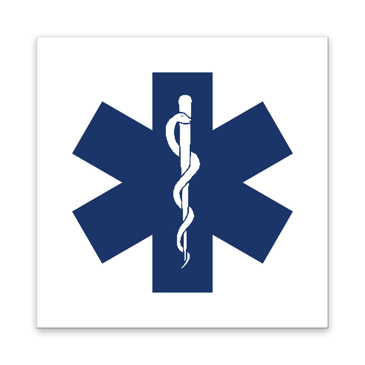 EMS Star of Life Symbol
